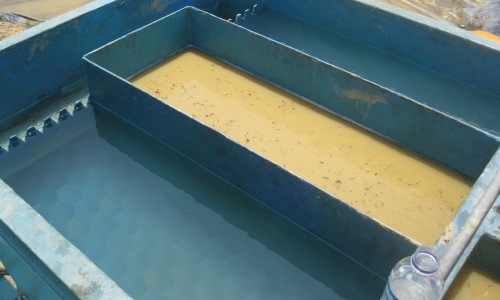 Clear Water after WWTP Clarifier Process